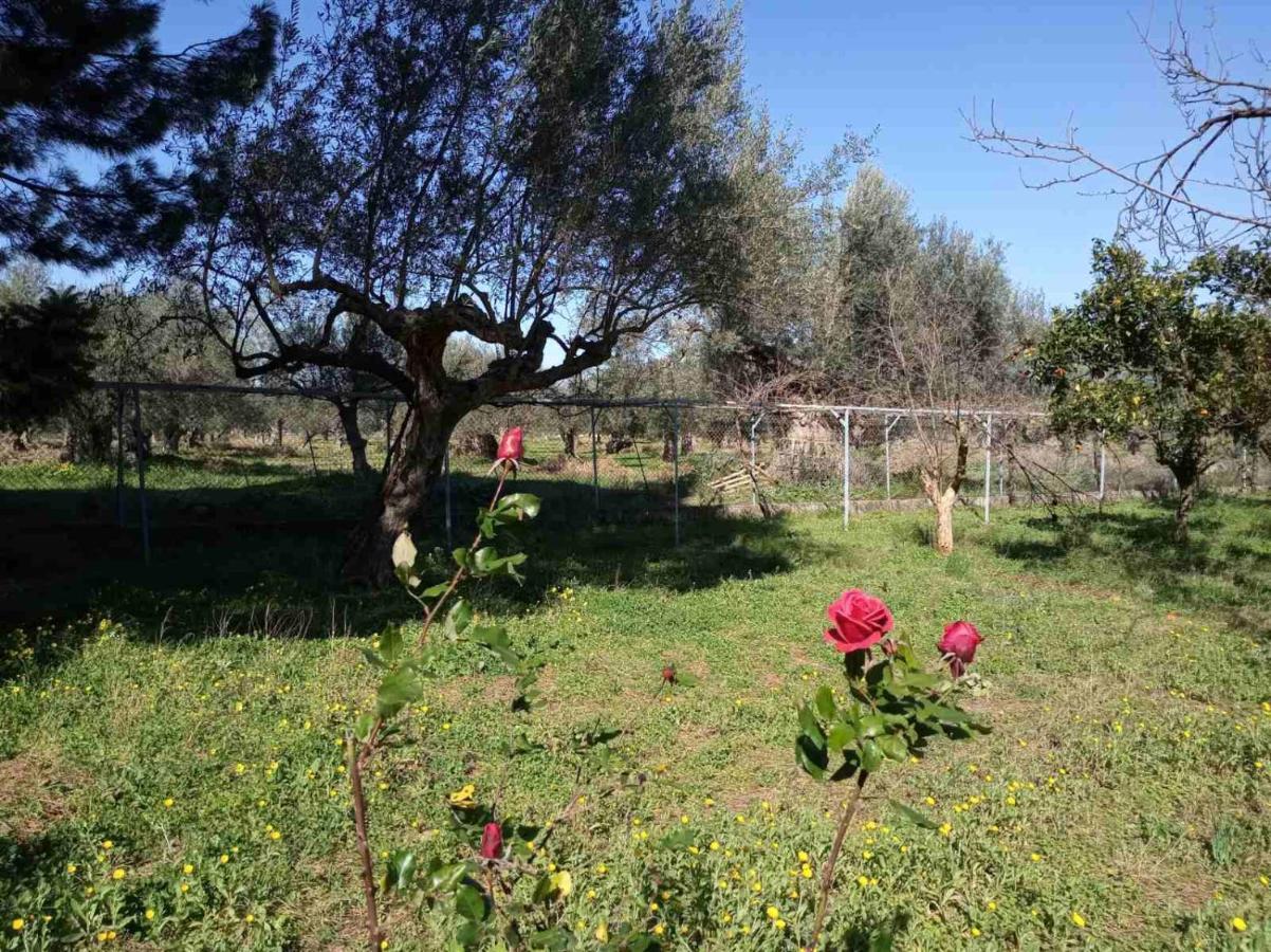 דירות מישטראש Manousi 1- Ground Floor מראה חיצוני תמונה